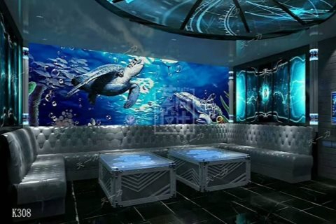 永州小时场ktv夜场宣传隐藏惊喜-东安县ktv预定